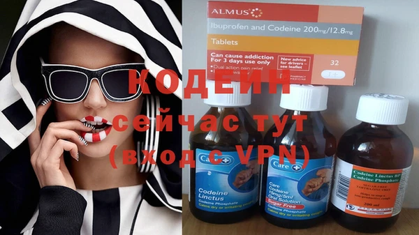 кокс Вяземский