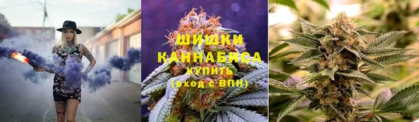 ГАЛЛЮЦИНОГЕННЫЕ ГРИБЫ Артём